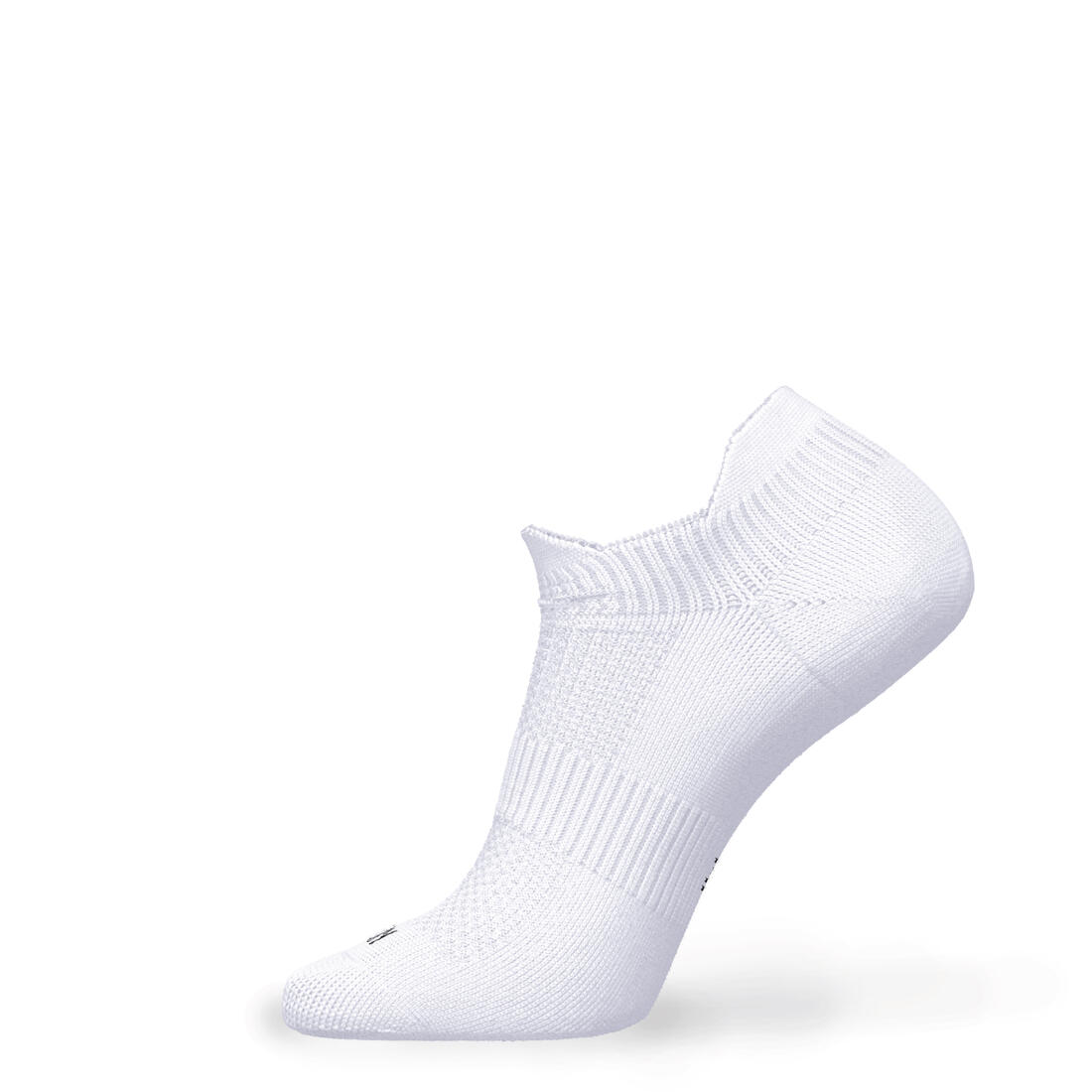 IMG_8610695_3