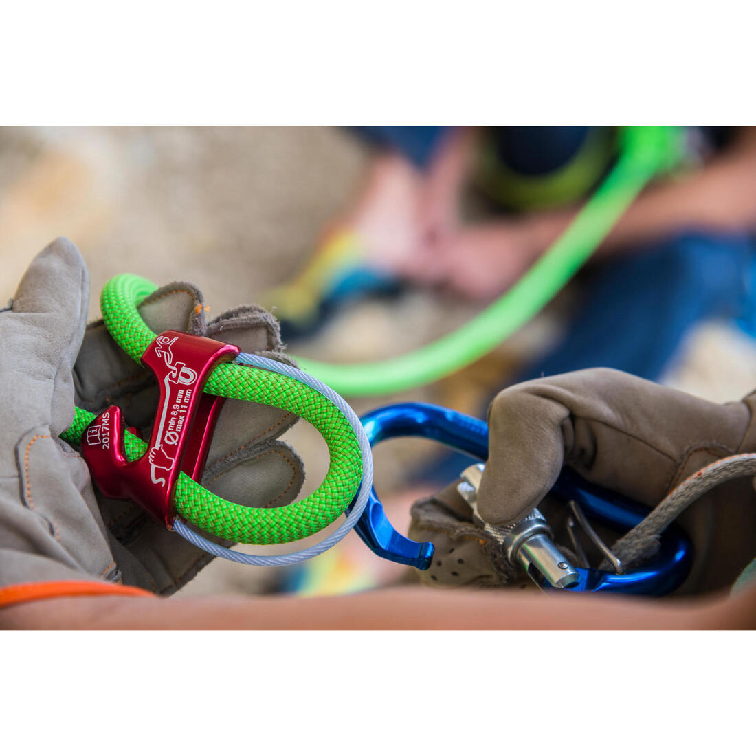 IMG_8495255_4