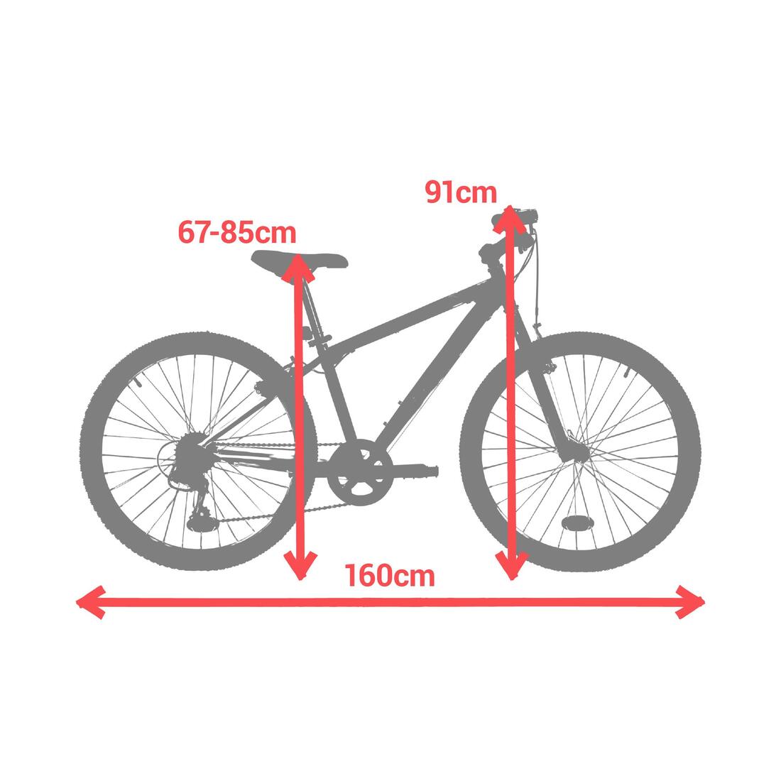 IMG_8405039_9